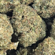 Durban Poison 20% Gold