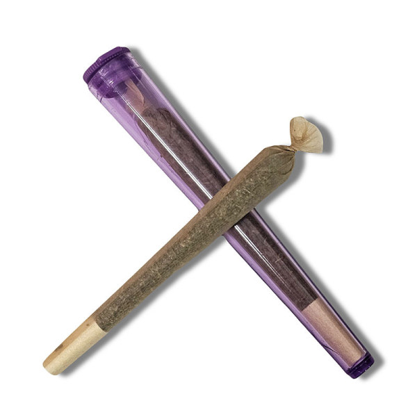 Infustick Gold