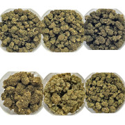 Pack Fleurs