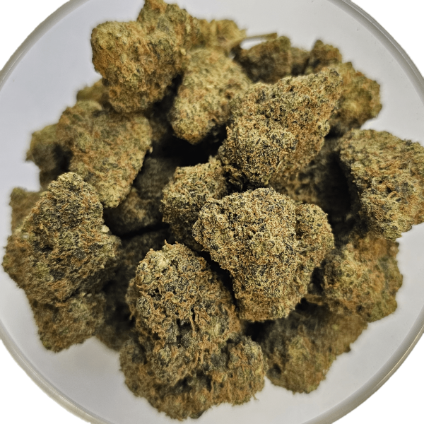 Mango 20% Gold