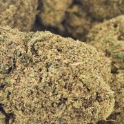 Tropical Kush 10% Gold Tropical Kush 10% Gold