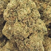 Strawberry Blue 20% Gold