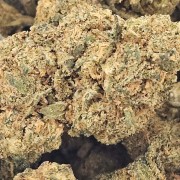 Blueberry 20% Gold