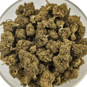 Blueberry 10% Gold