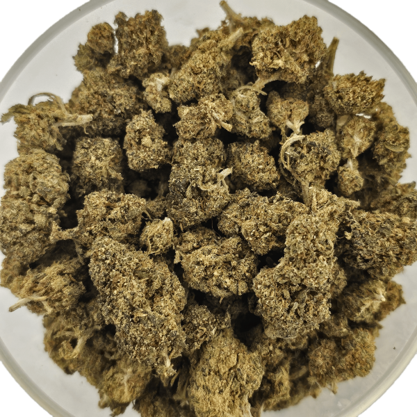 Blueberry 10% Gold
