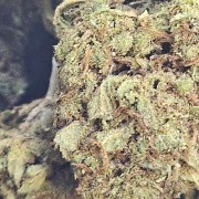 Diesel Tonic