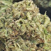 Green Gelato