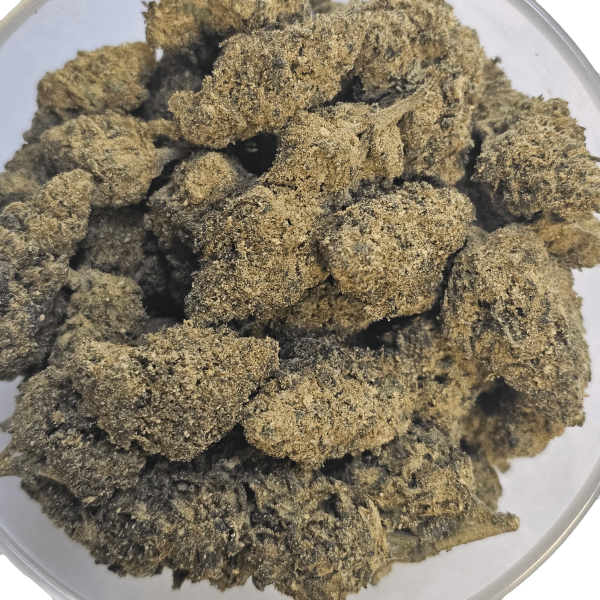 Mango 30% Gold
