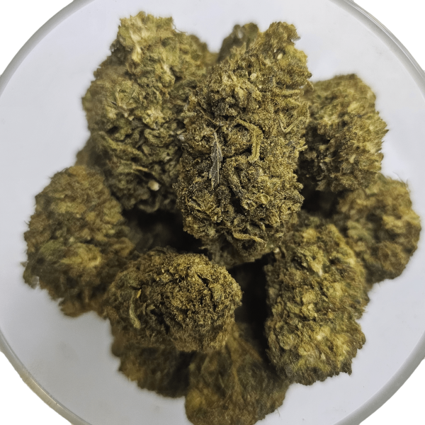 Harlequin 30% Gold