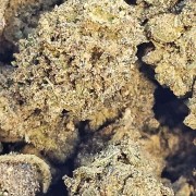 Small 20% Gold