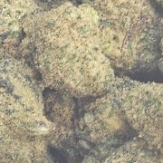 Small Hydro 20% Gold