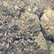 Green Apple 20% Gold