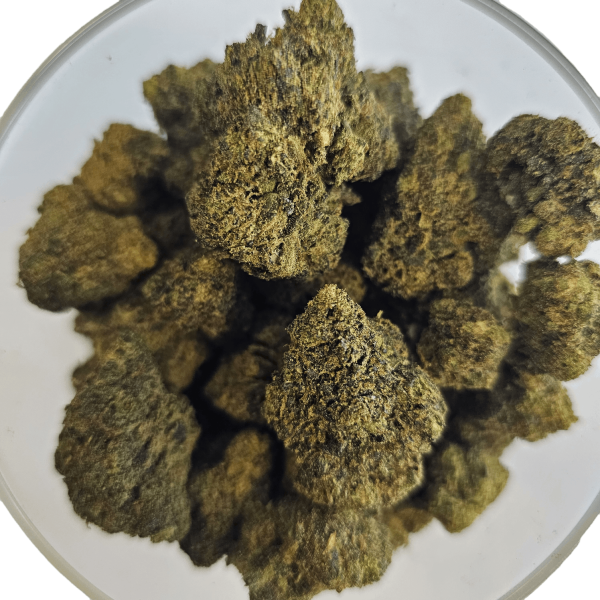 Purple Mango 20% Gold