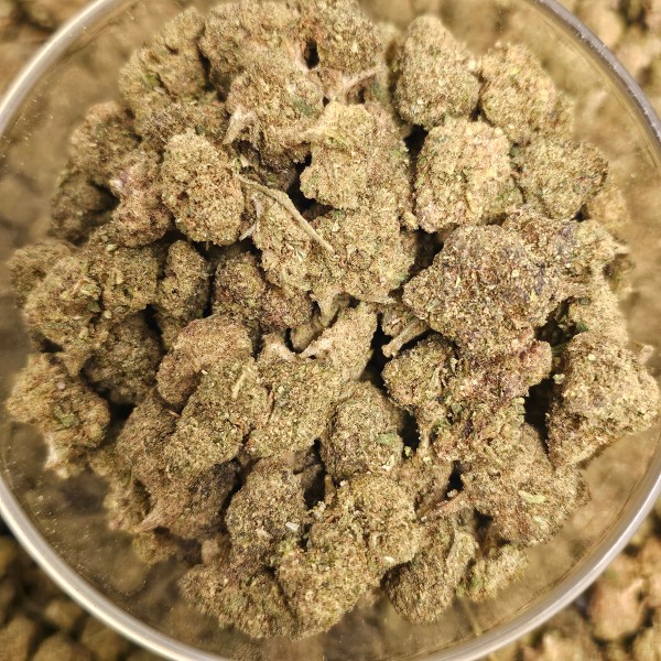 Small Hydro Lemon 20% Gold
