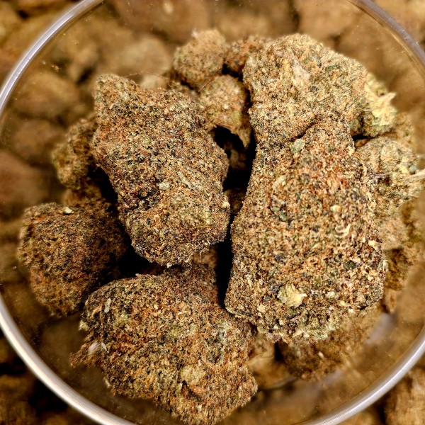 Northern Mango 20% Gold