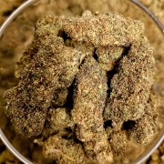 Tropical 20% Gold