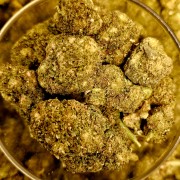Green Gelato 20% Gold