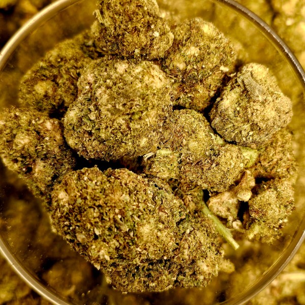 Green Gelato 20% Gold