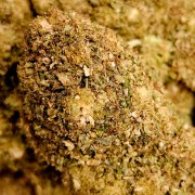 Green Gelato 20% Gold