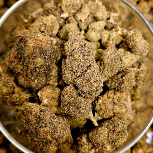 El Patron 30% Gold