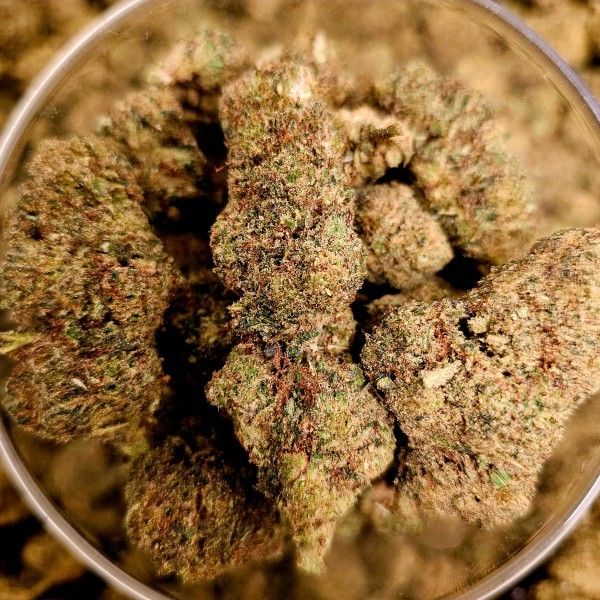 Pepper Jack Haze 30% Gold