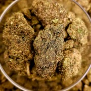 Honey Cream 30% Gold