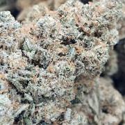 White widow White widow