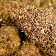 Green Apple 30% Gold