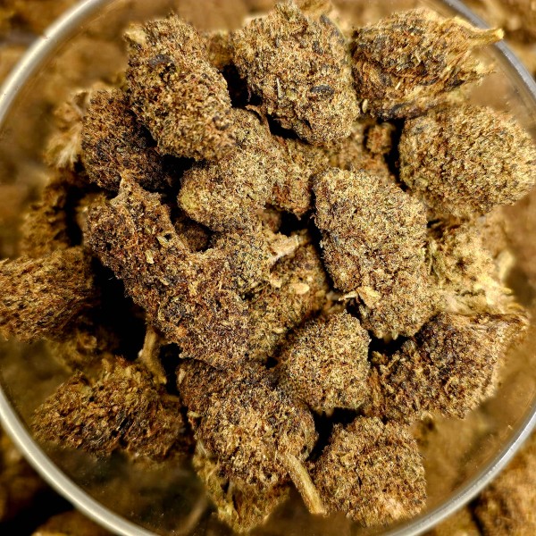 Orange Bud 10% Gold
