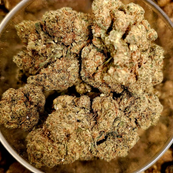 White Widow 5% Gold