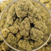 Honey Kush