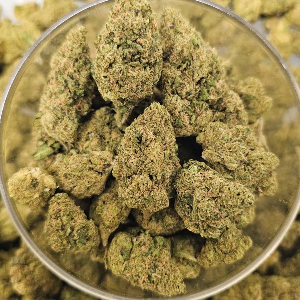 Honey Kush