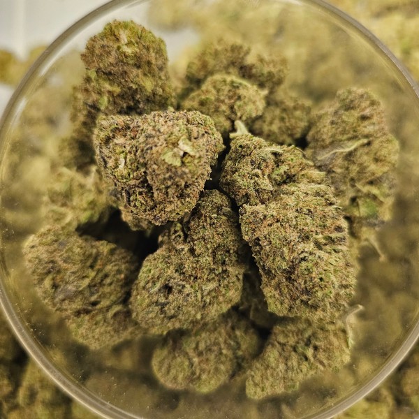 Gorilla Glue