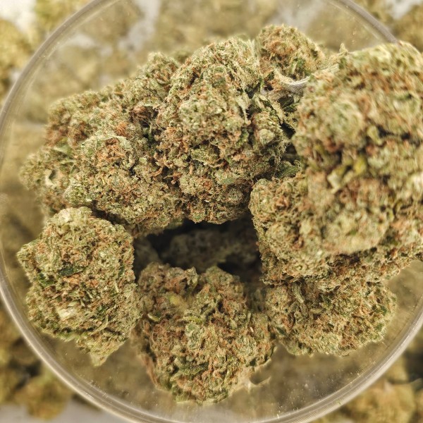 White Widow