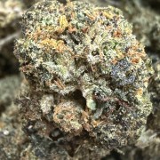 Gelato RS 20% Gold