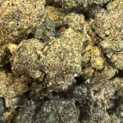 Gelato RS 20% Gold