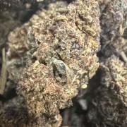 Strawberry OG 20% Gold
