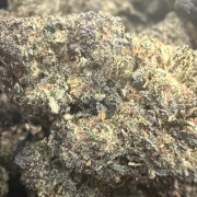 Gelato RS 30% Gold