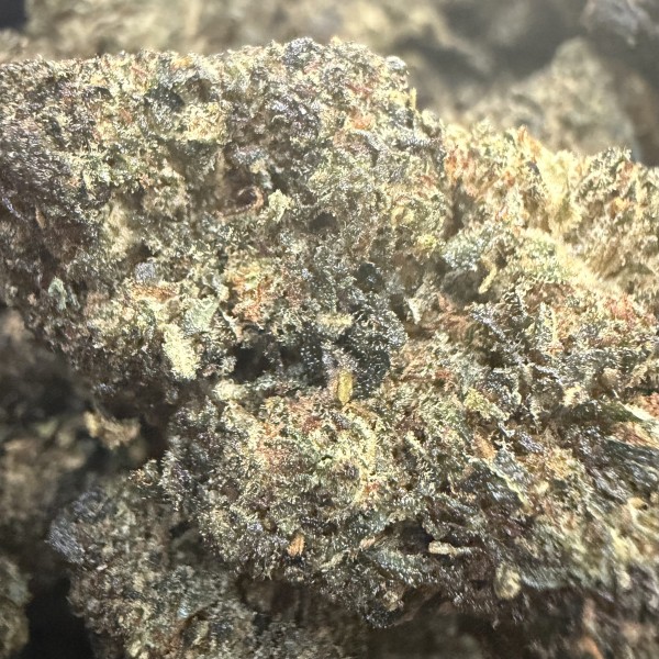 Gelato RS 30% Gold