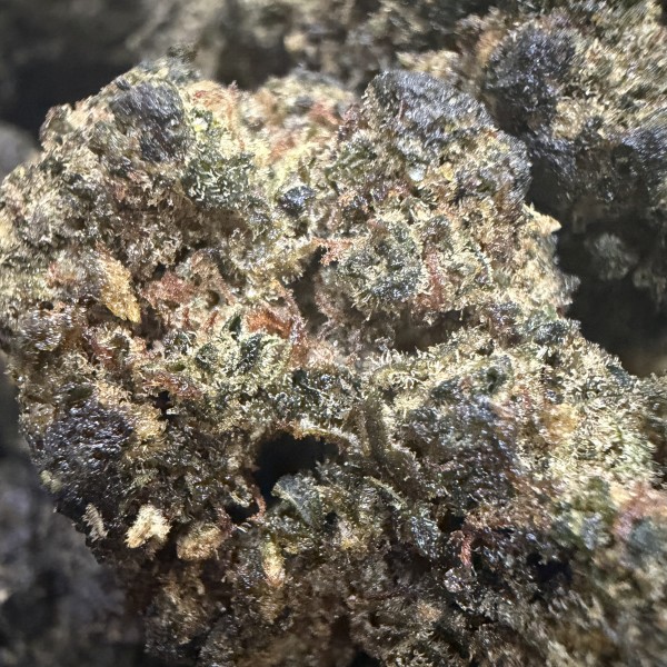 Candy Fruit 30% Gold