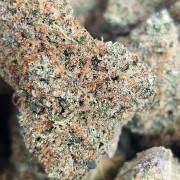 Master Kush Master Kush
