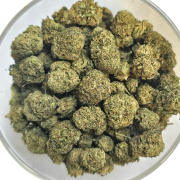 Skittlez 5% Gold Skittlez 5% Gold