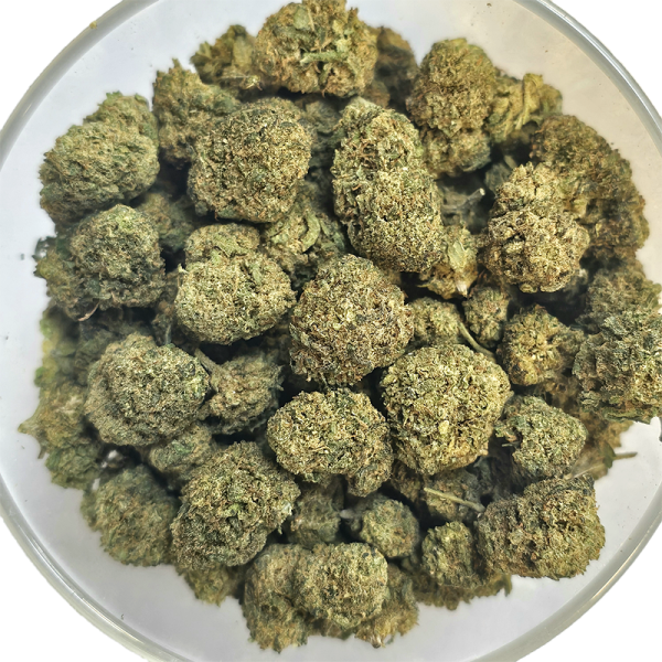 Skittlez 5% Gold